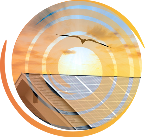 circle-ojyu.webp Hero image