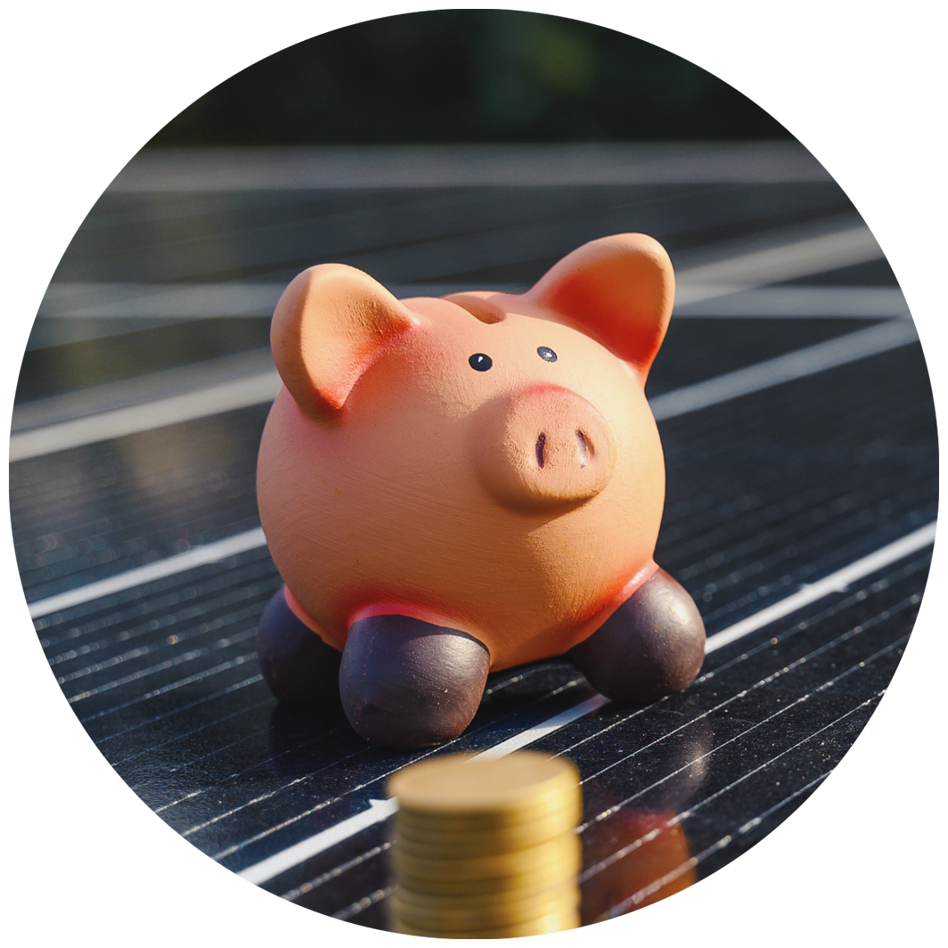 investment.webp